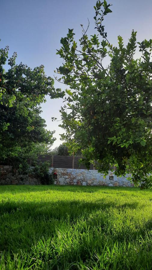 הוילה Sirílion Creta Galini House מראה חיצוני תמונה